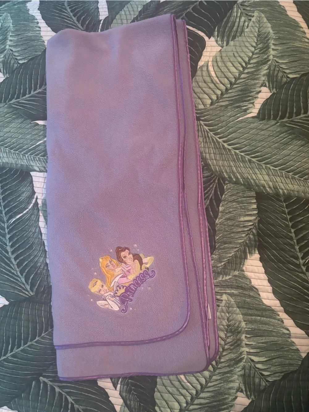Disney  Princess purple Embroidered Fleece throw